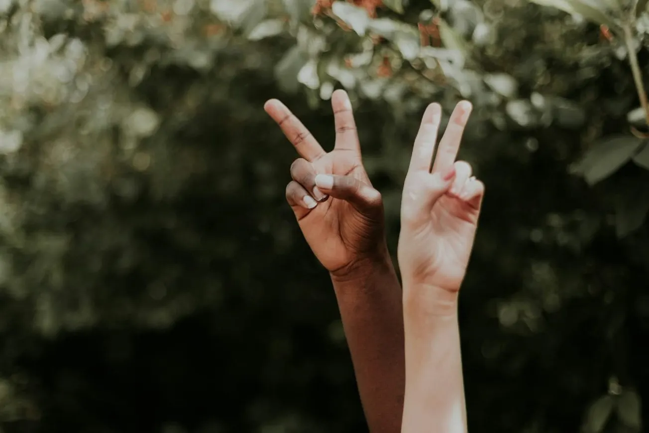 Universal Principles Of Liberalism And The Politics Of Race
