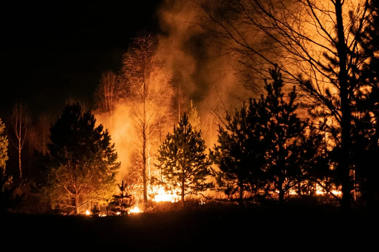 Watch: Spain, France Continue To Battle Wildfires