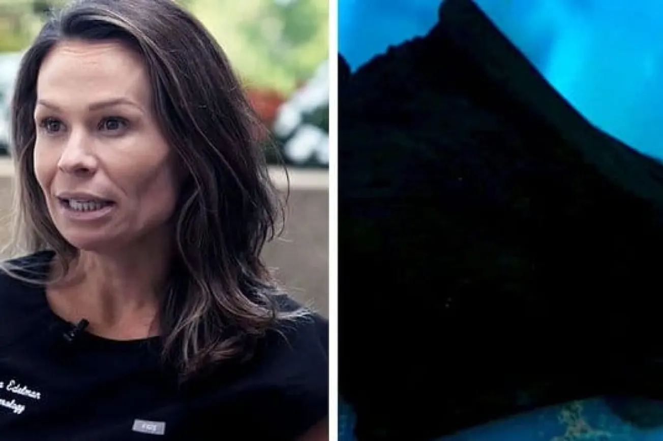 Doctor’s Nightmare Comes True After Bat Crawls Into Her Mouth