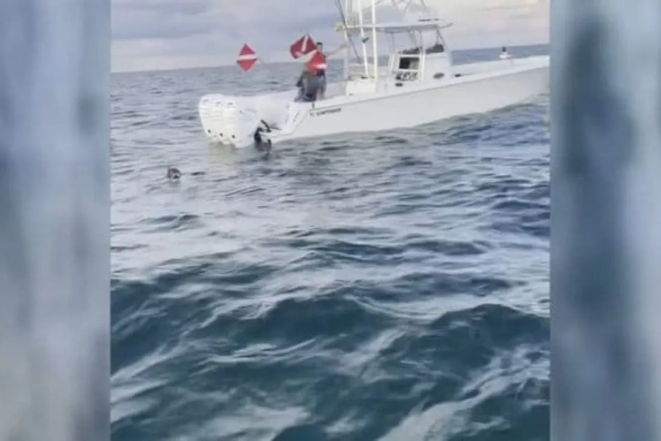 Florida Man Charged After Diver's Air Supply Allegedly Cut Off