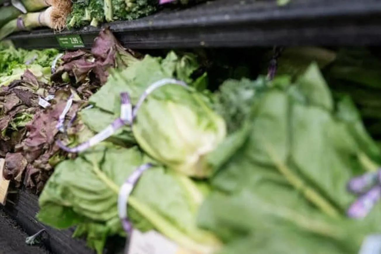 FDA Issues New Guidance To Reduce Contamination In Fresh-Cut Produce