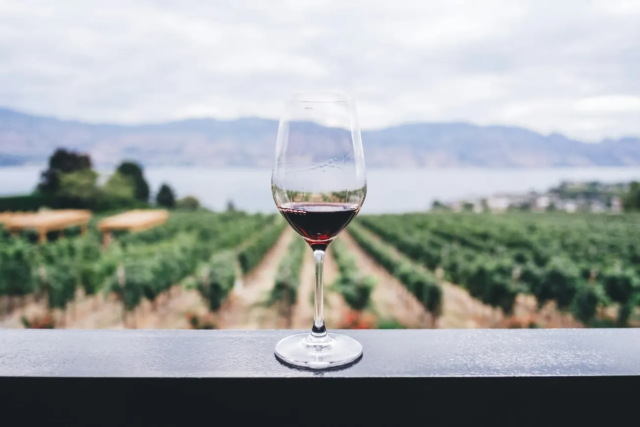 Watch: Extreme Summer Heat Forces Early Night Harvest Spain Winery