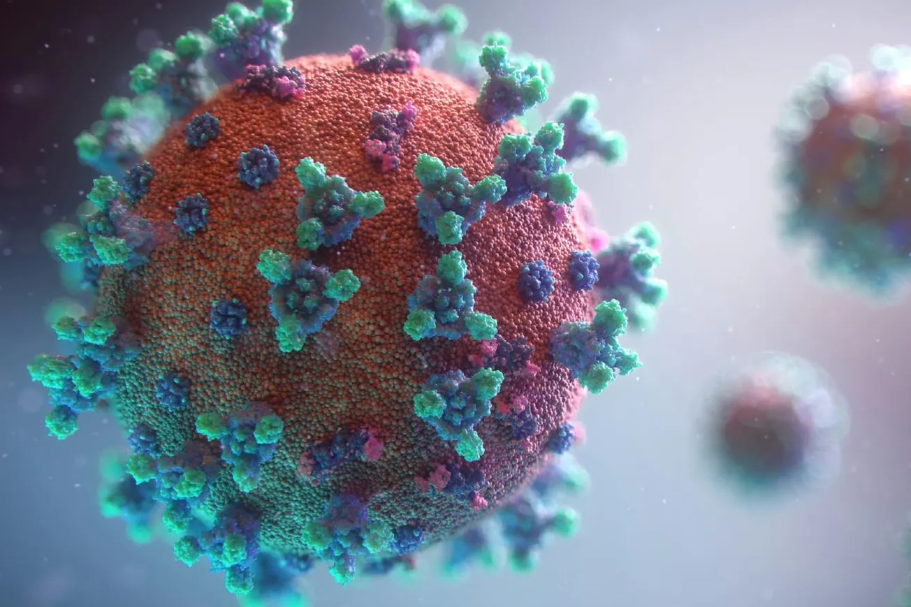 Watch: First Two Deaths Related To Cyclospora Reported In USA