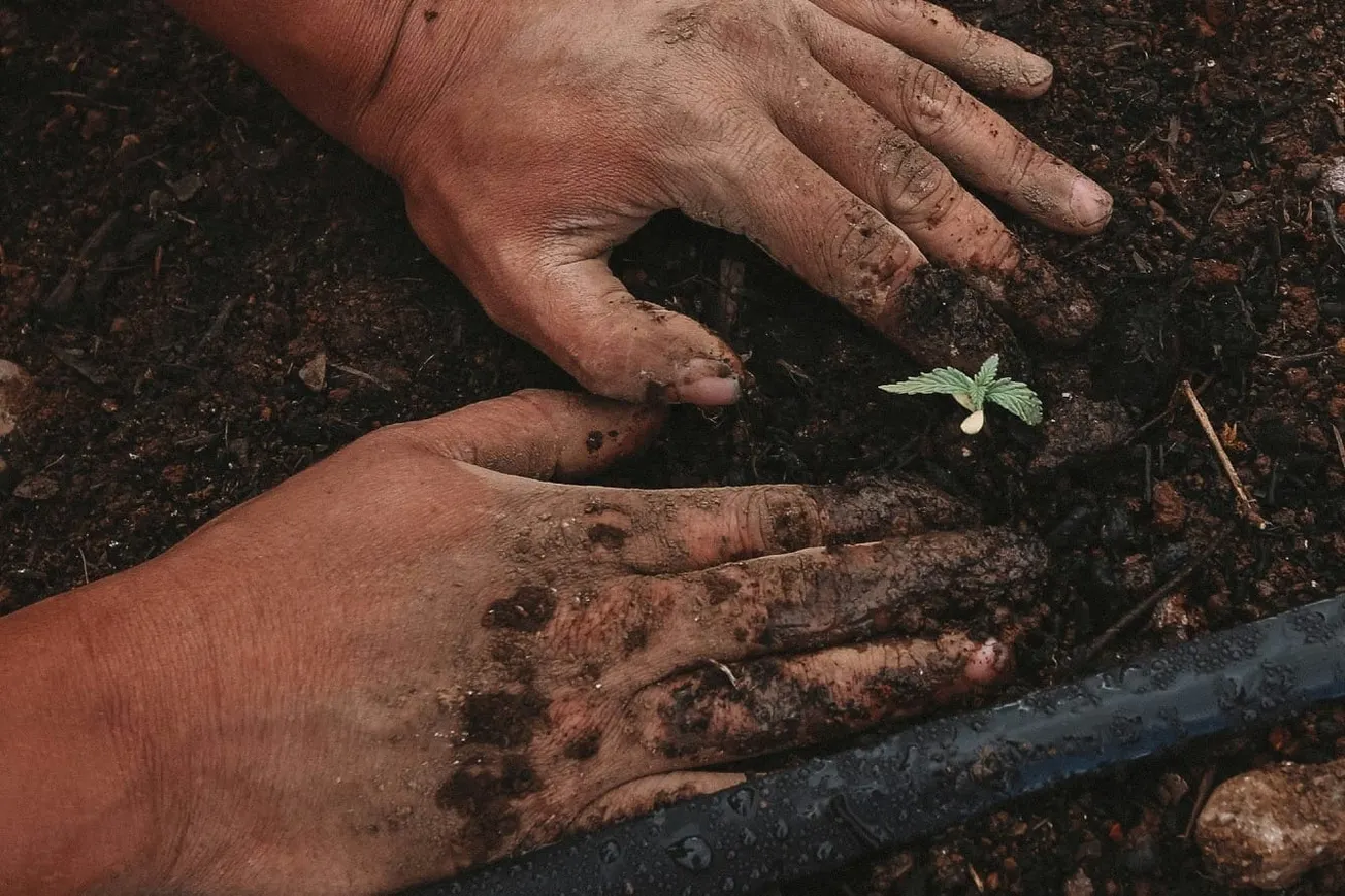 Tipping The Scales: How Washington Pays Megafarms To Beat Family Farms