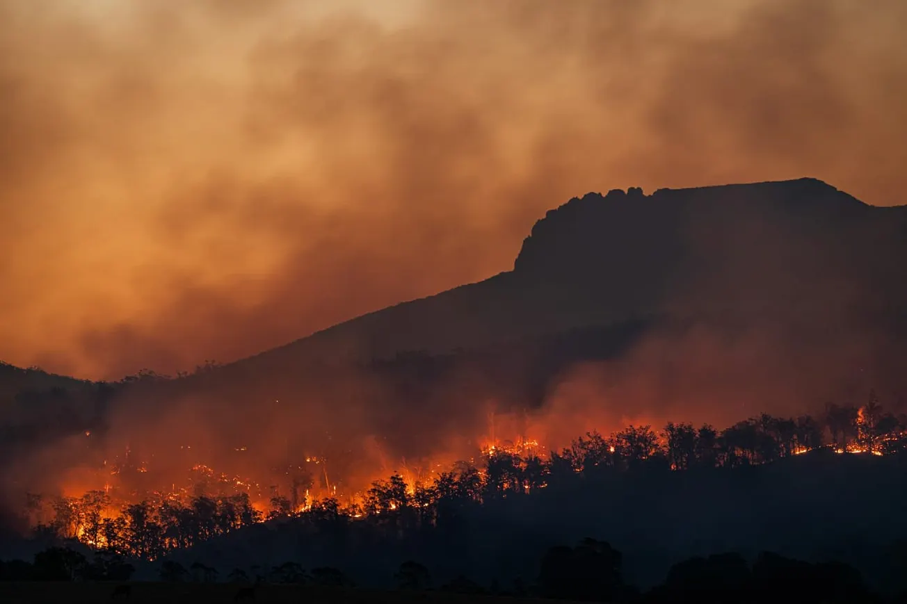 Watch: France Evacuates Hundreds Due To Wildfires