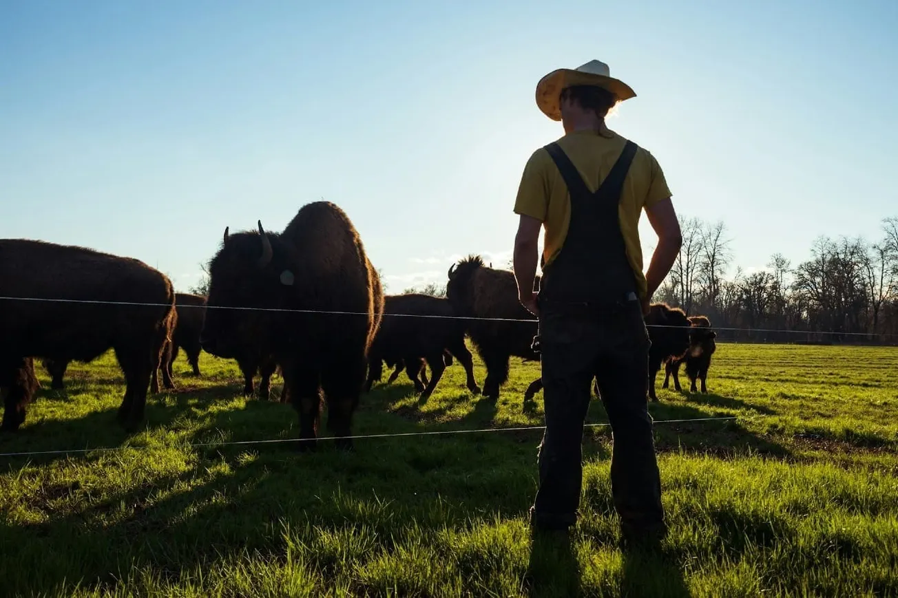 Republican Ranchers In Congress Urge Trump To Put American Ranchers First
