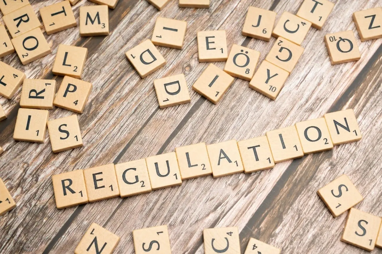 The Pretexts And Motives Behind Government Regulation