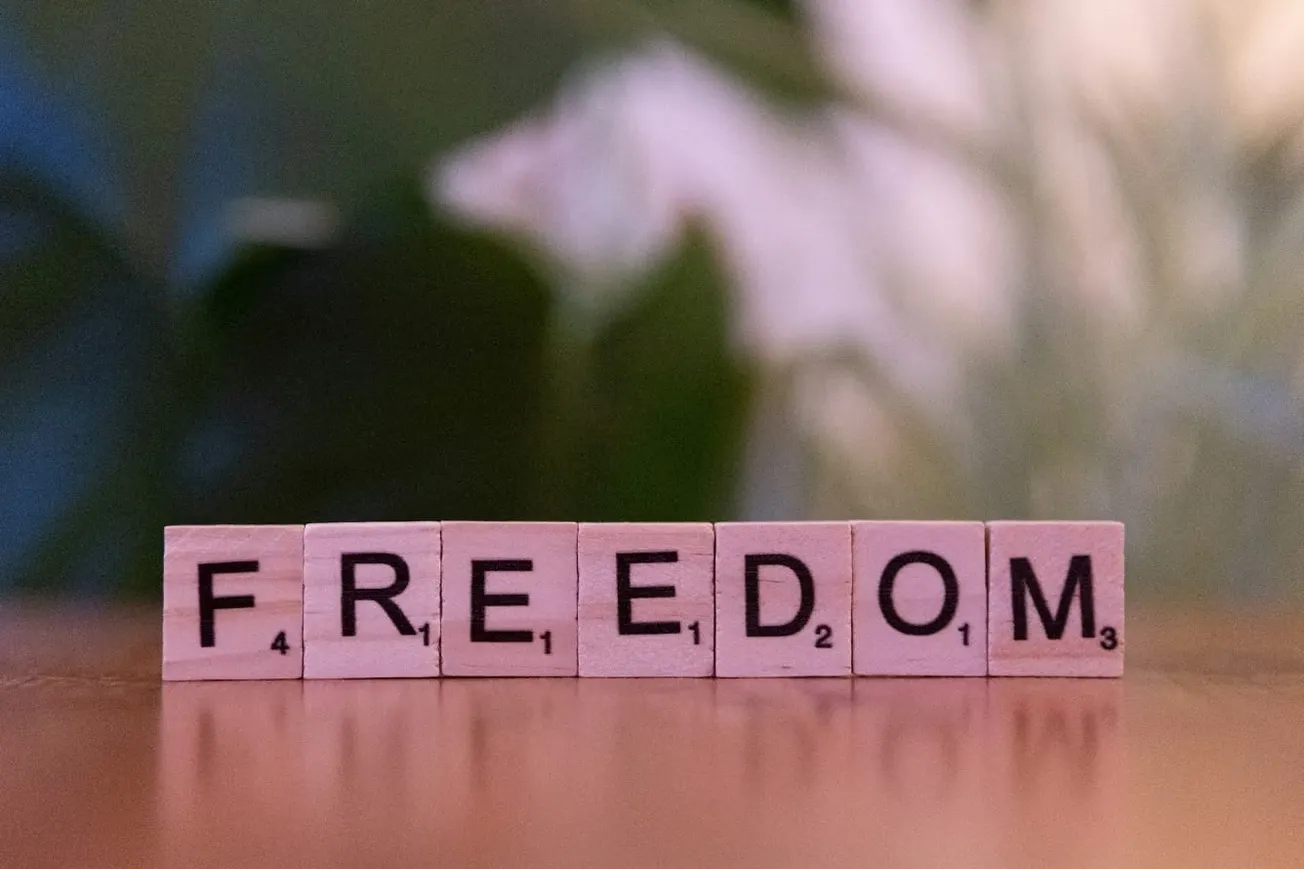 The Property Rights Duality And The Defense Of Freedom