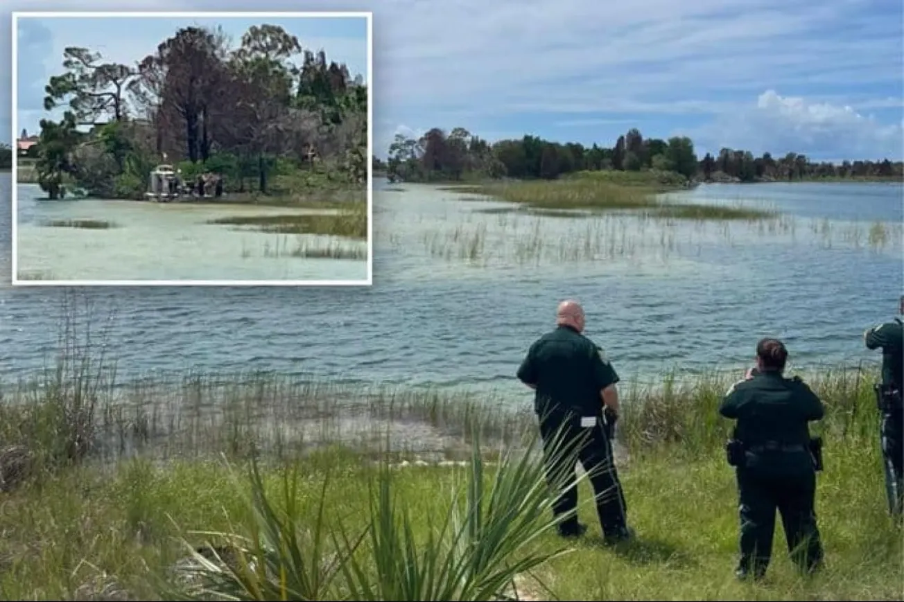 Child Bitten By Alligator While Swimming At Florida Nature Preserve