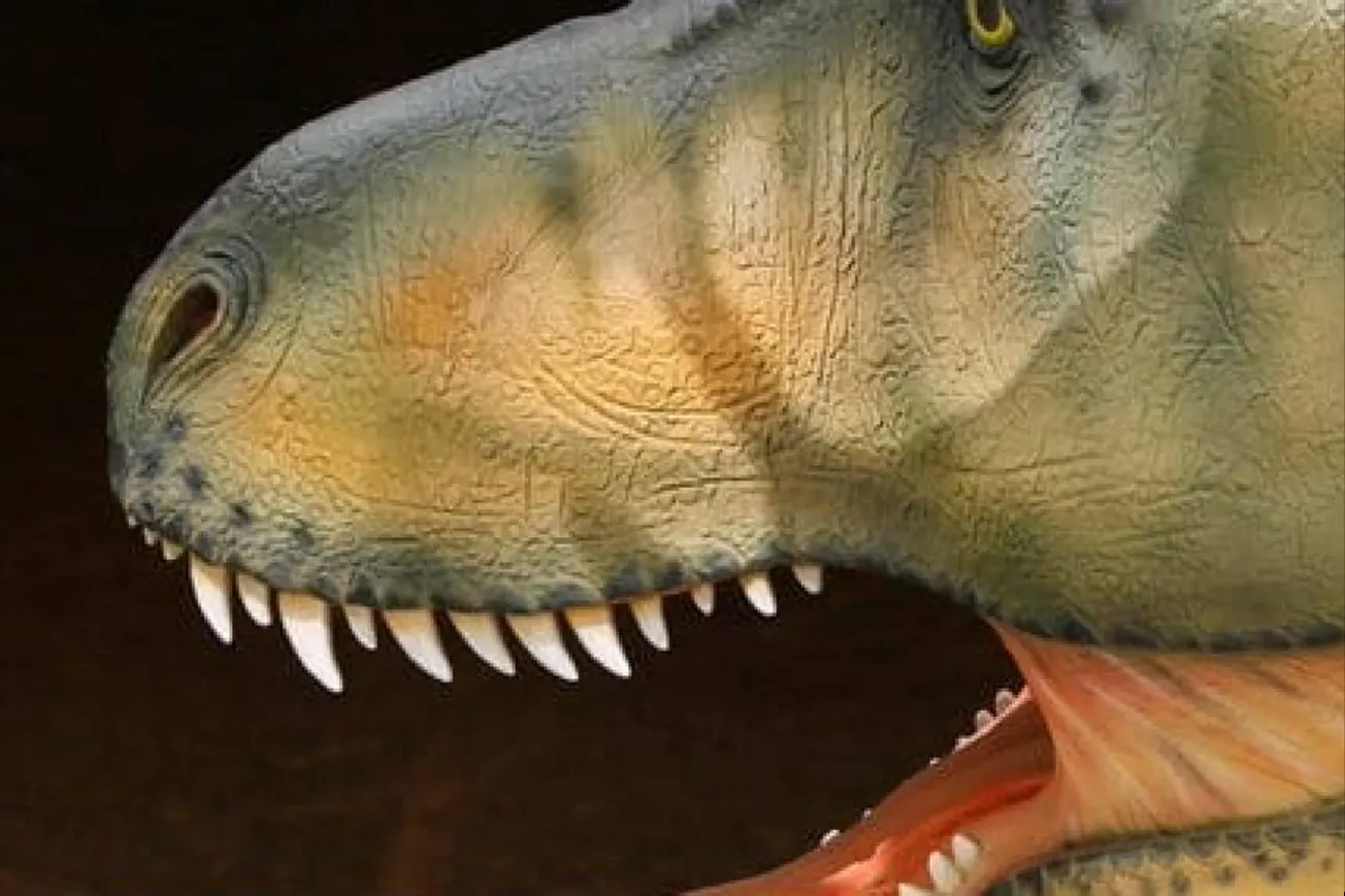 T. Rex Had a Human-Like Body Temperature, Study Finds
