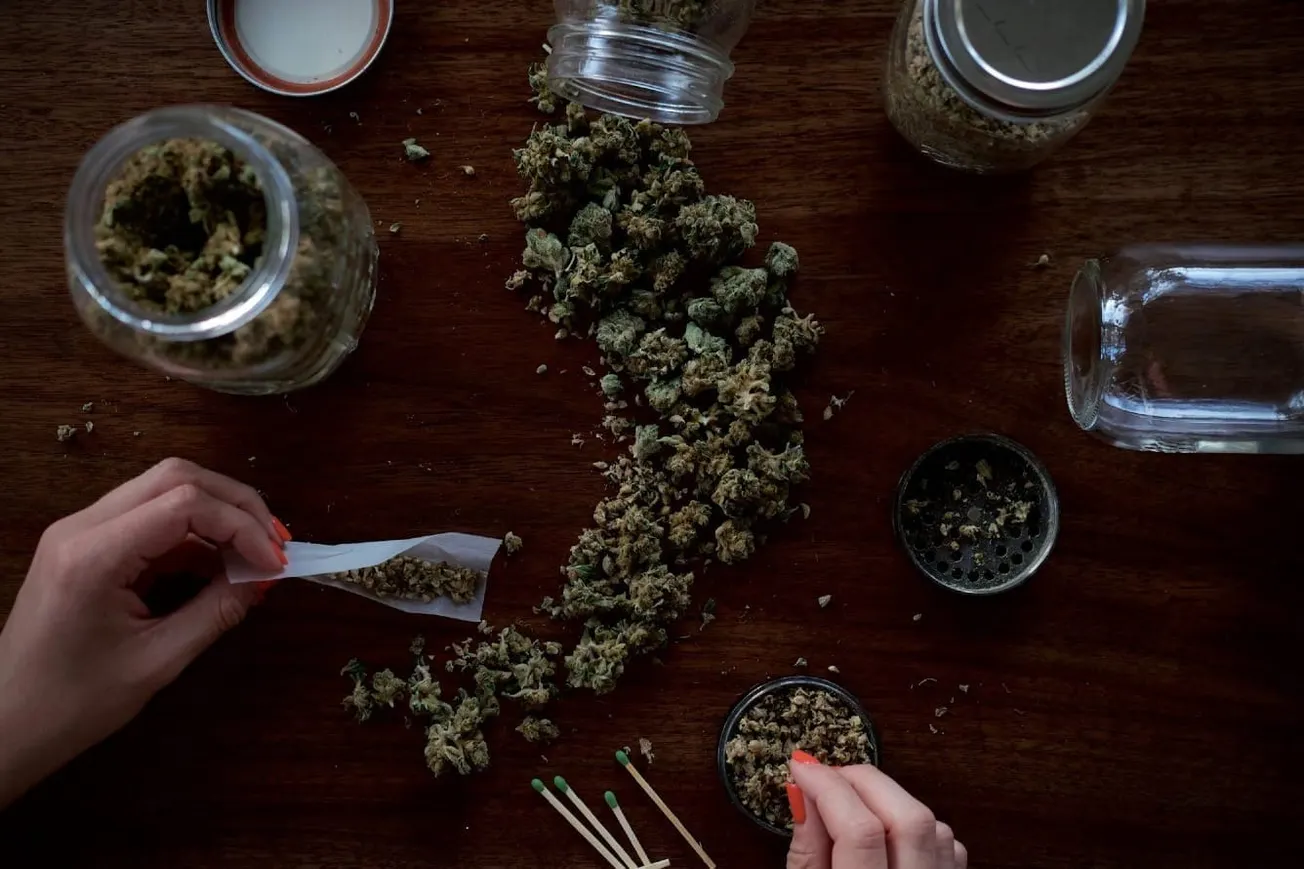 Never Forget Federal Marijuana Frauds