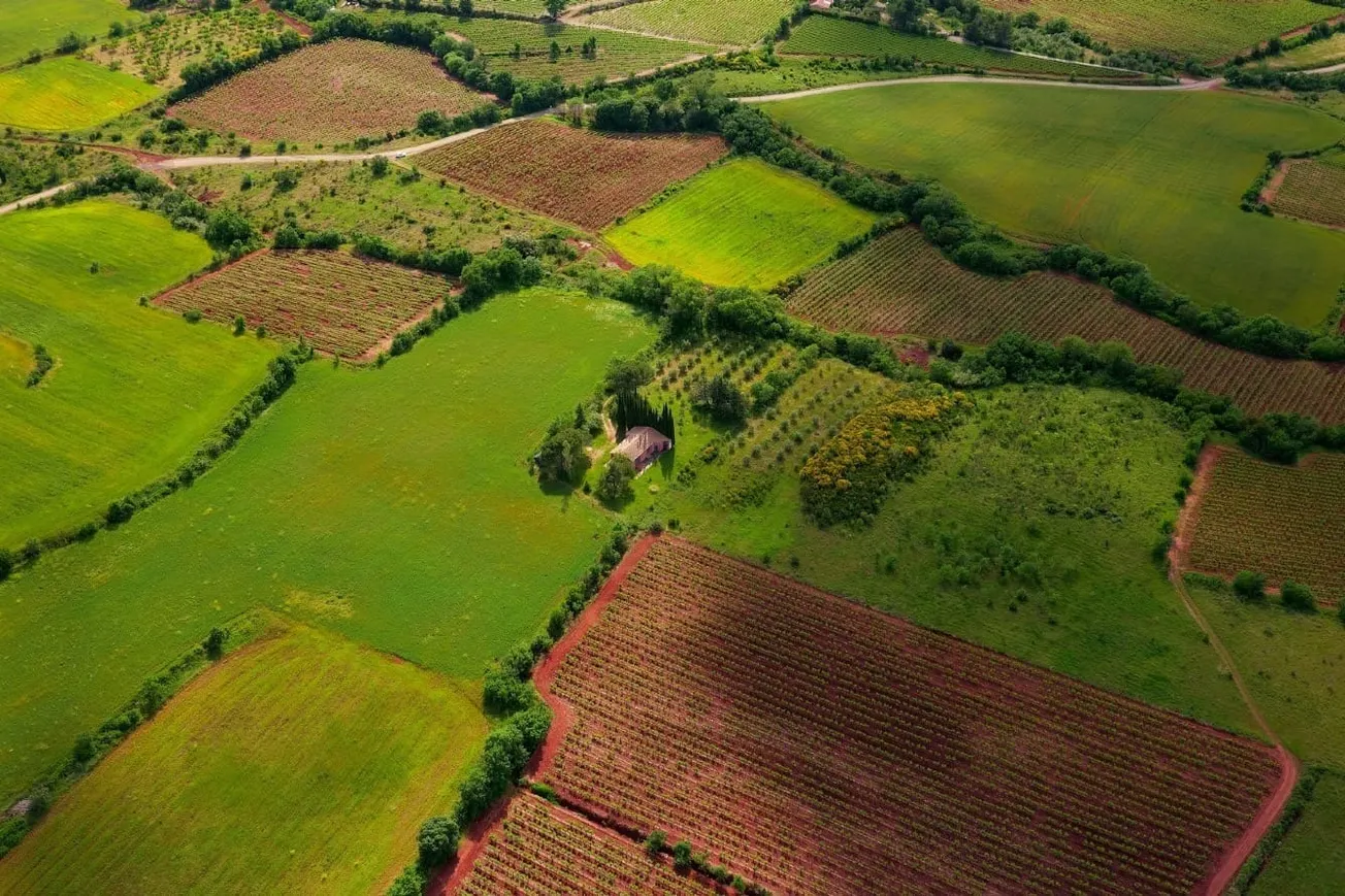 Property Rights Are Not A Luxury: Why Zimbabwe Cannot Grow Without Secure Ownership