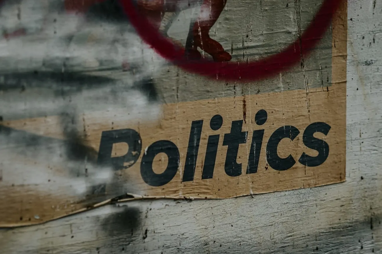 Libertarians And Political Action