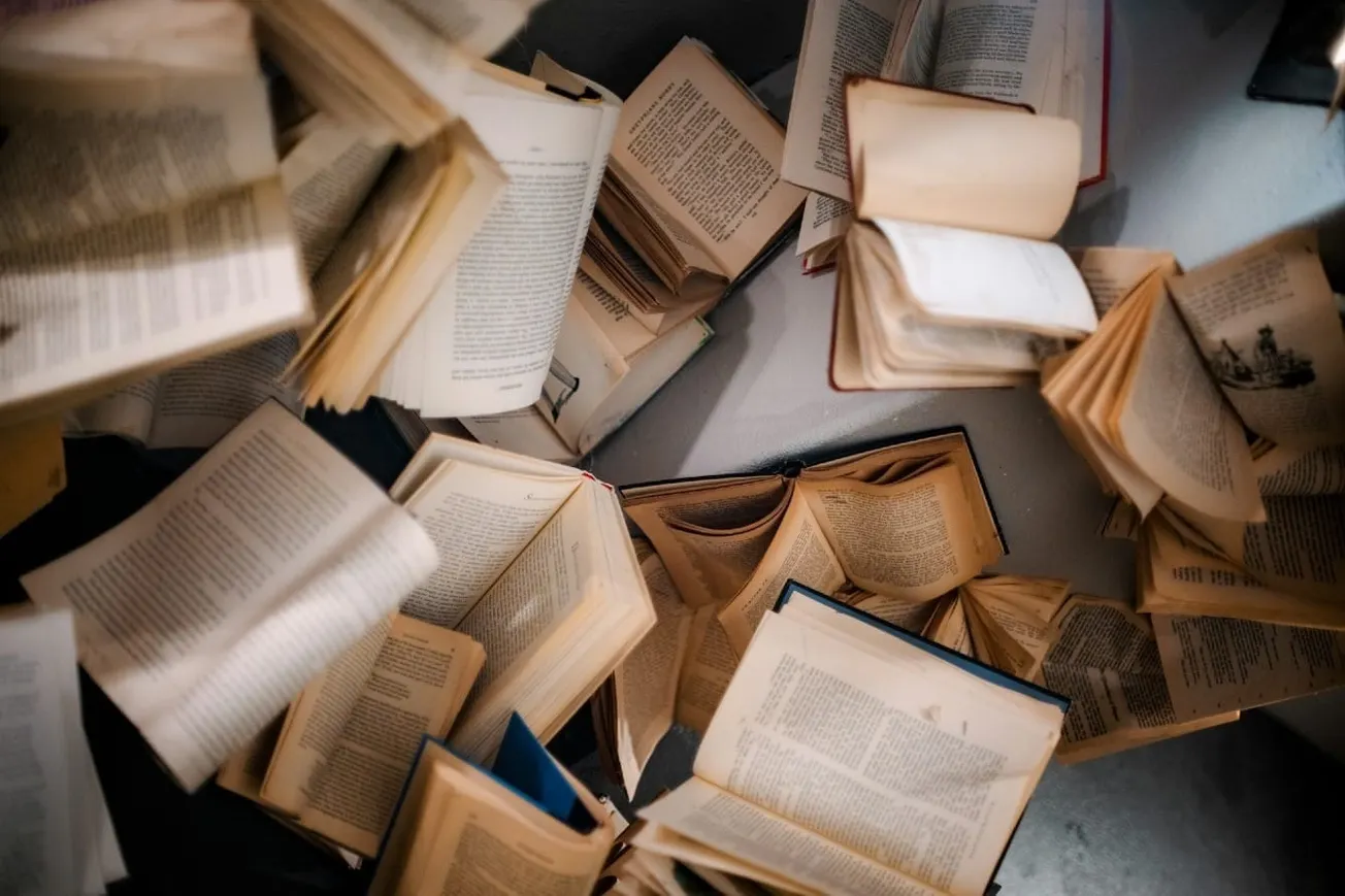 Why You Should Read Reed
