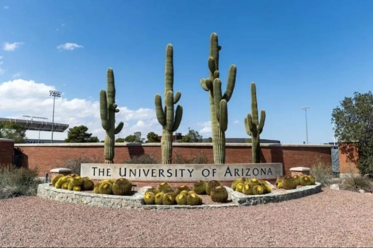 Arizona University Halts Fraternity Activities Amid Hazing Investigations