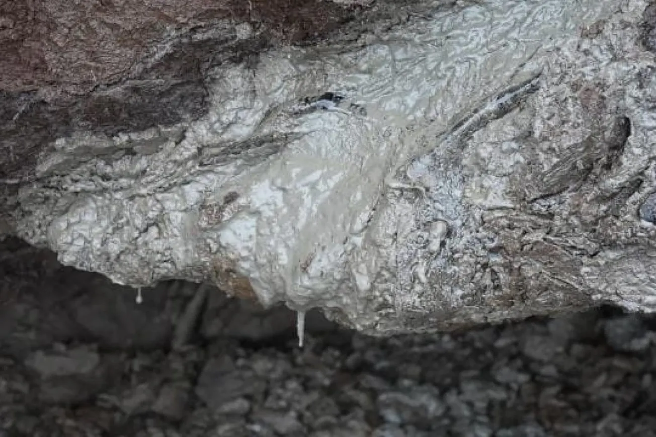 Arctic Permafrost Is Leaking Heat-Trapping Gases Into The Atmosphere
