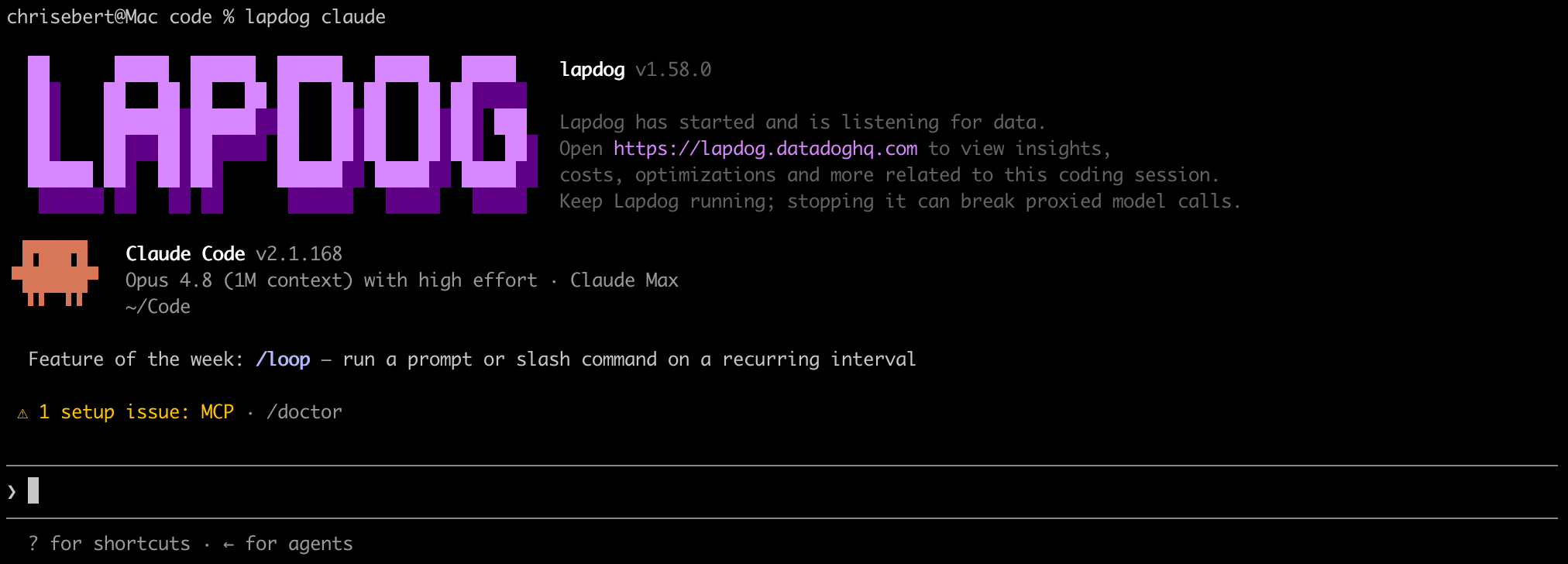 A screenshot of Datadog Lapdog profiling a Claude Code session
