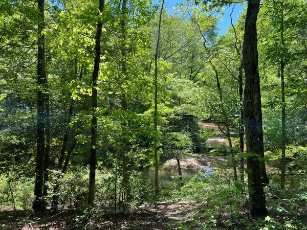 Traveling the South: A Genealogist's Road Trip