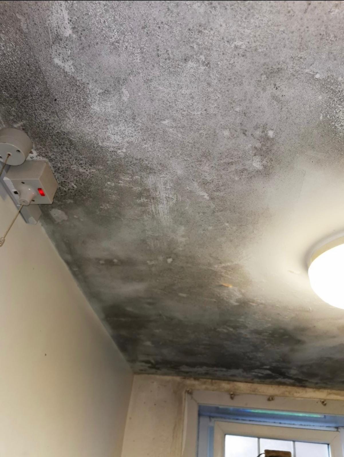 140523db-7ab4-4f24-96dc-24bf772cb35c