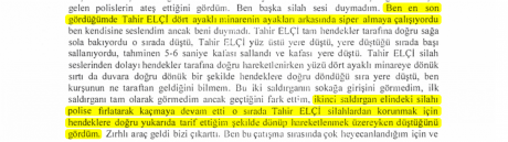 1.Testimony_highlighted.png