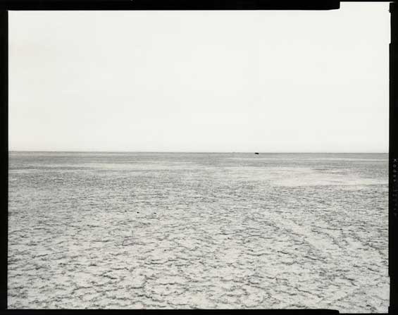 Dry seabed, near Barsakelmesh Island, Aral Sea