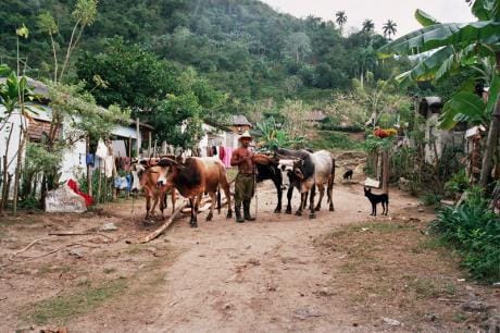 The US and Cuba recently normalised relations after a 52-year embargo.