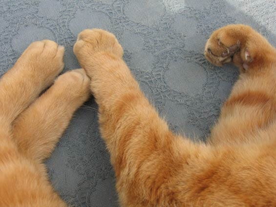  © Azad/Moving Lives/PhotoVoice