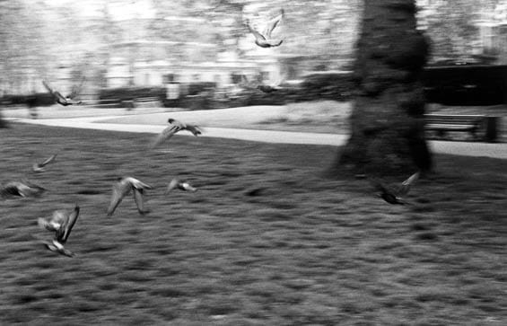 © Onesmus / Transparency / PhotoVoice