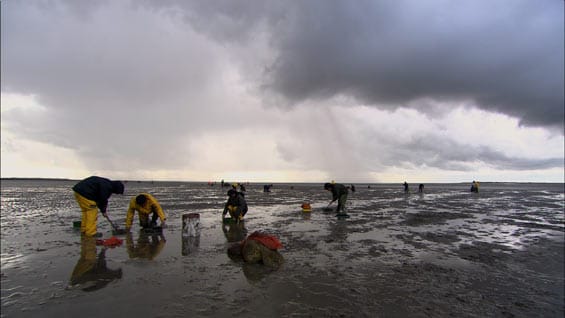 C_565.jpg