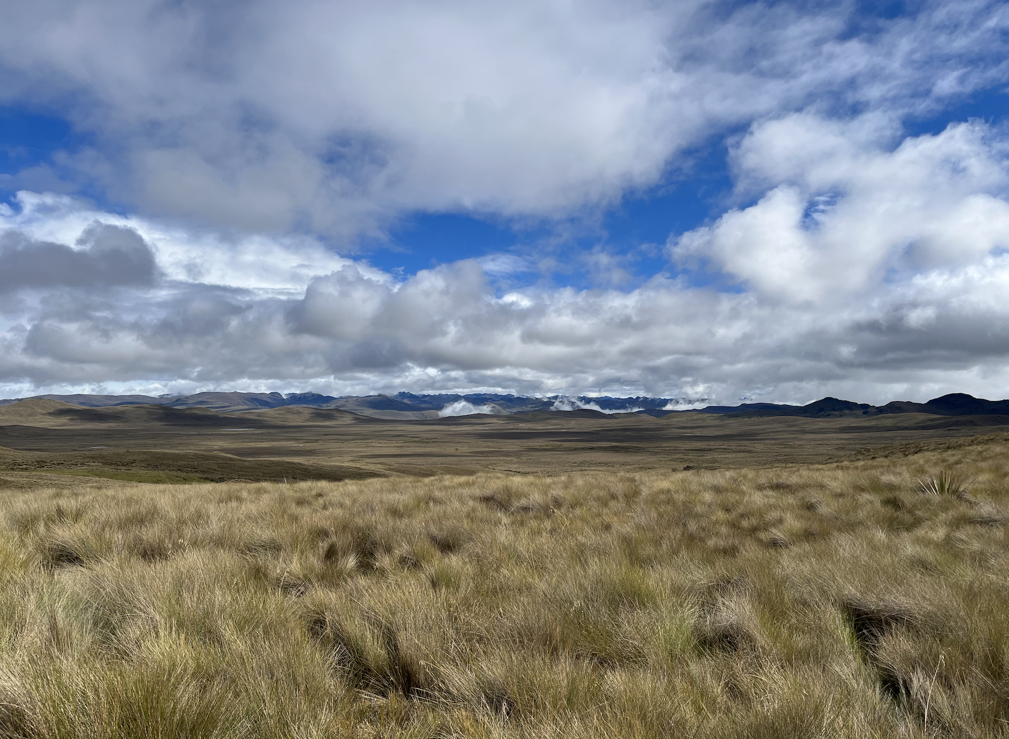 Vista panorâmica do deserto de Kimsakocha