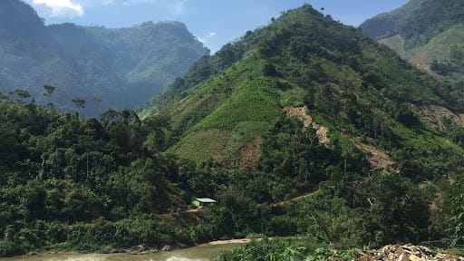 Campos de coca em Catatumbo, Colômbia