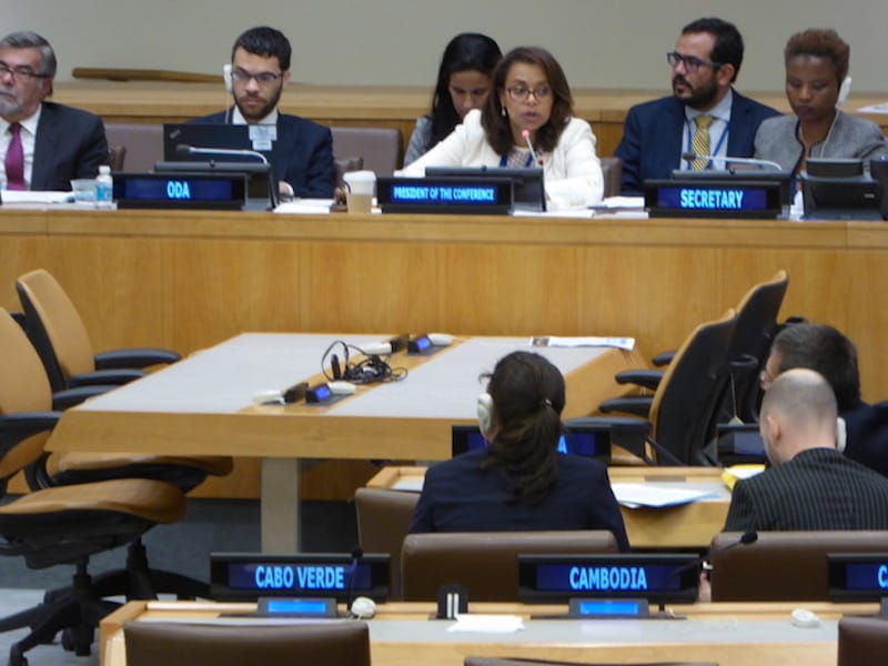 Elayne Whyte Gomez UN TPNW negots2017 photo REJ .jpeg