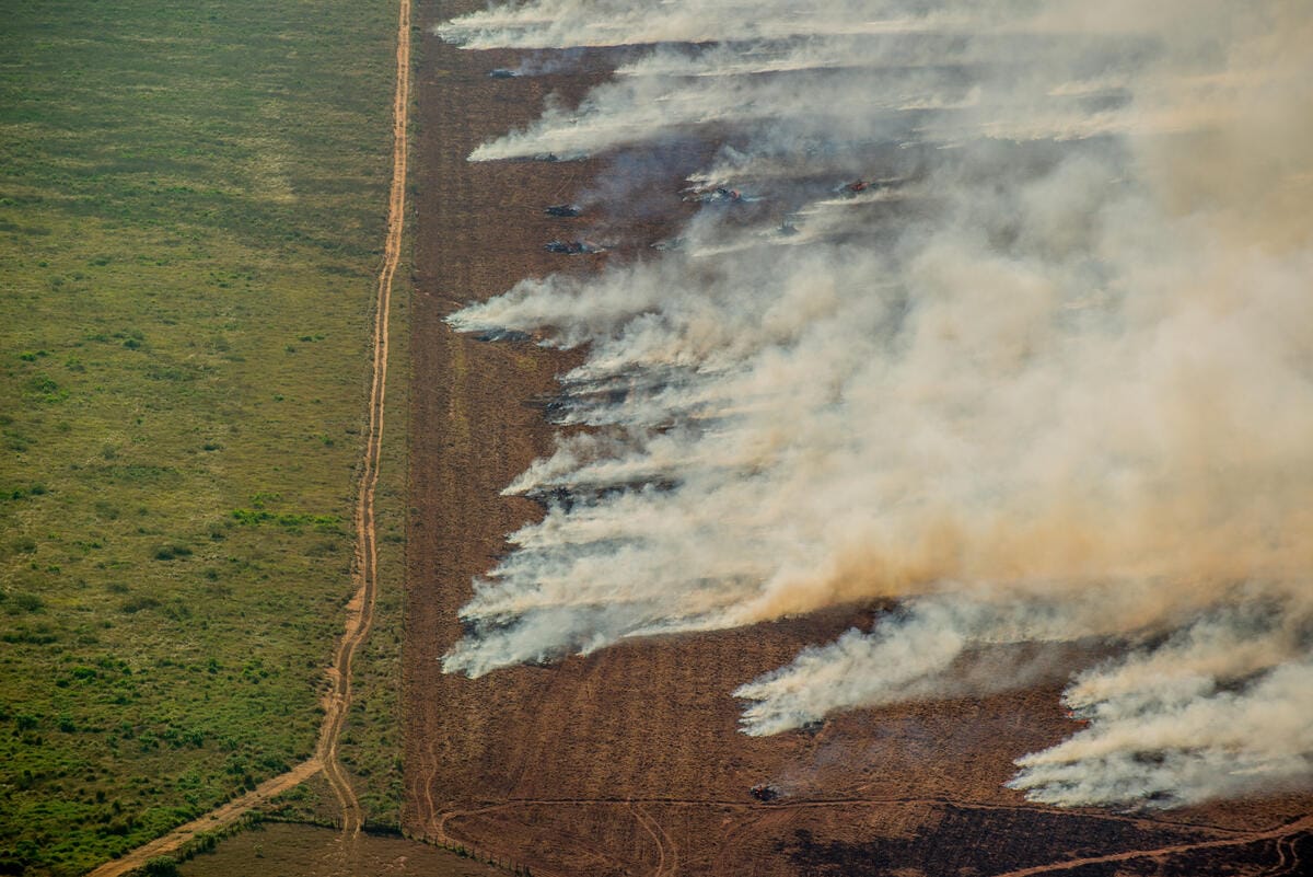 Deforestación en Brasil