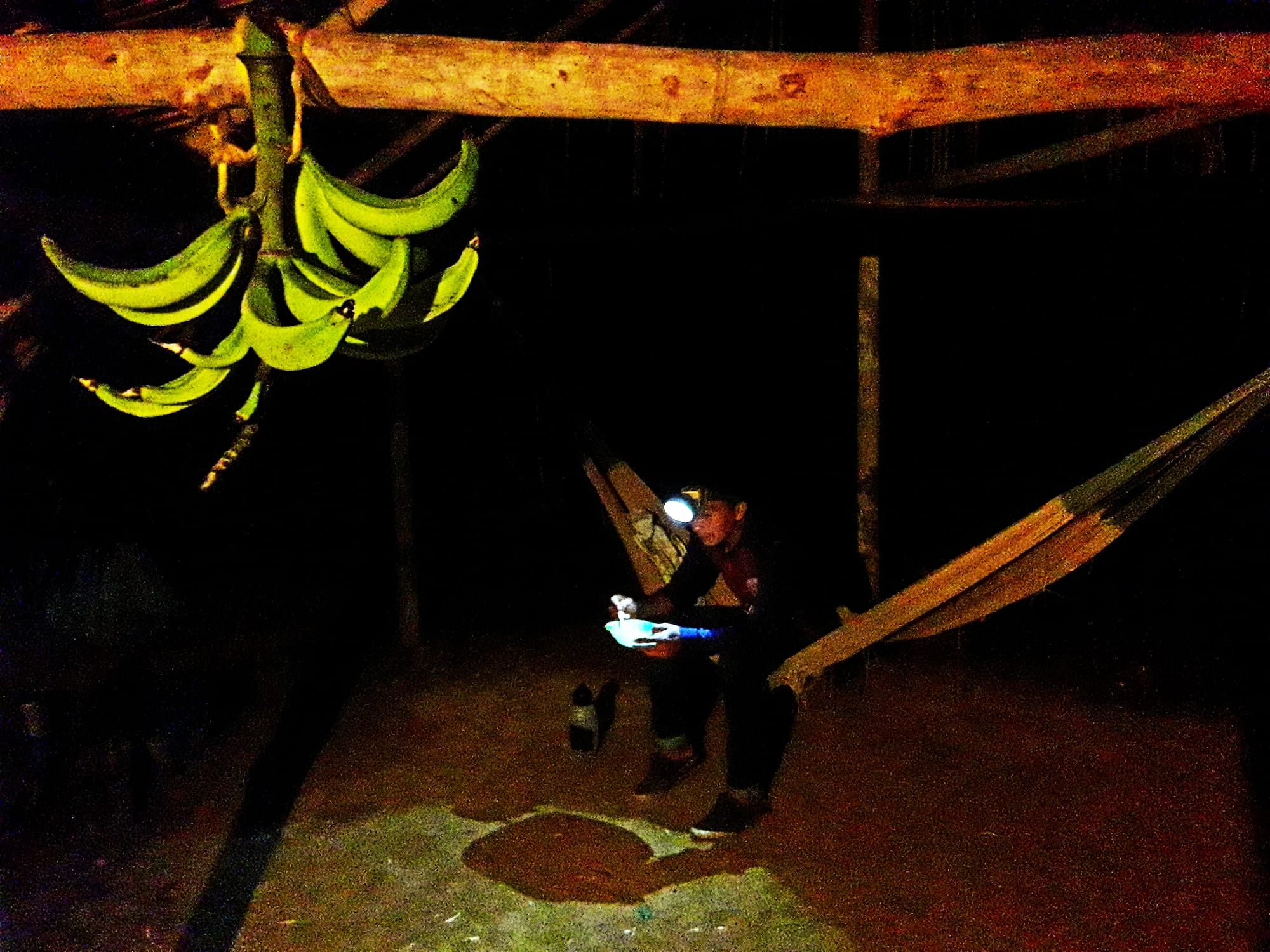 Líder indígena piaroa descansa em casa em uma noite de julho de 2020