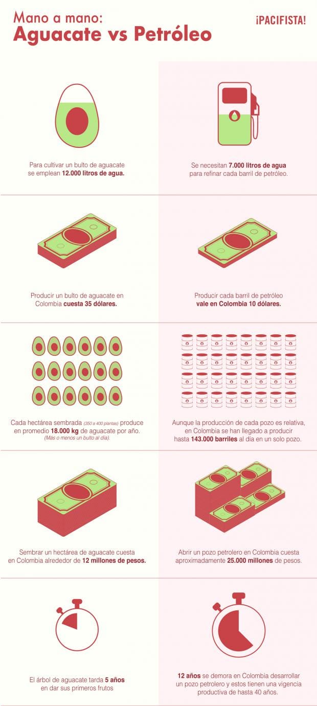 infografia aguacate 1