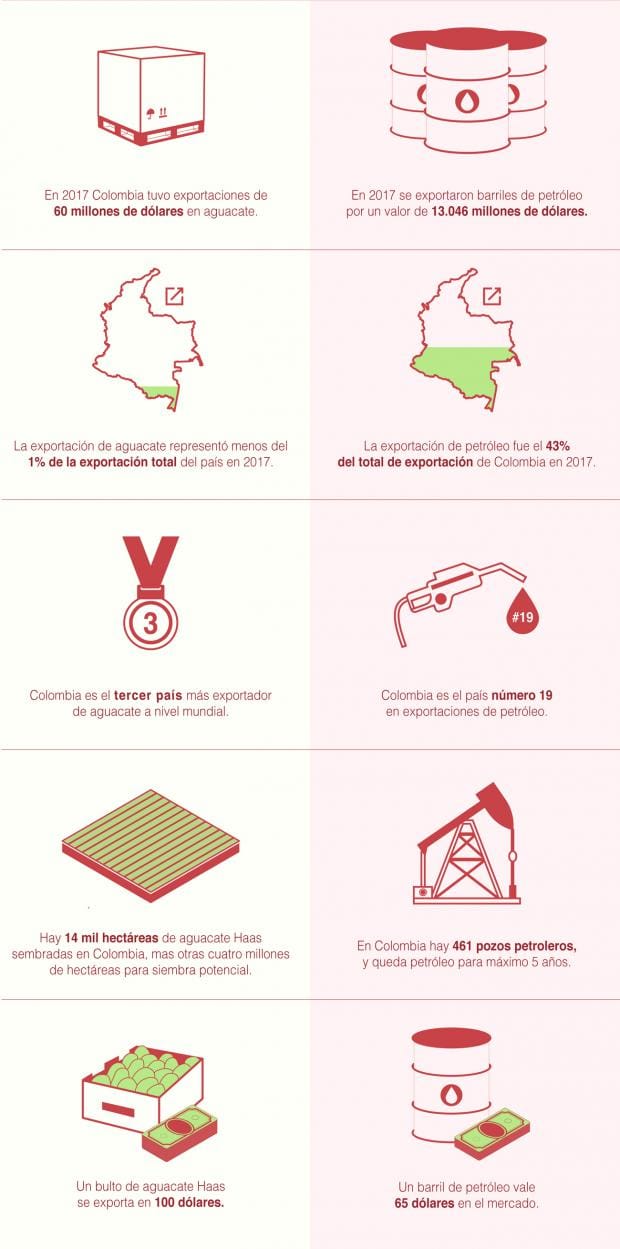 infografia aguacate 2