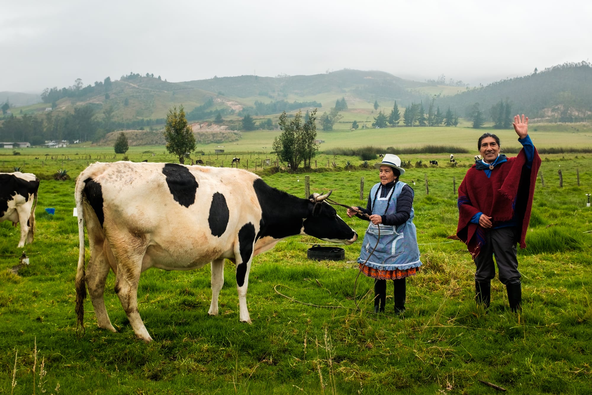 Yaku Pérez e sua mãe posam com vaca