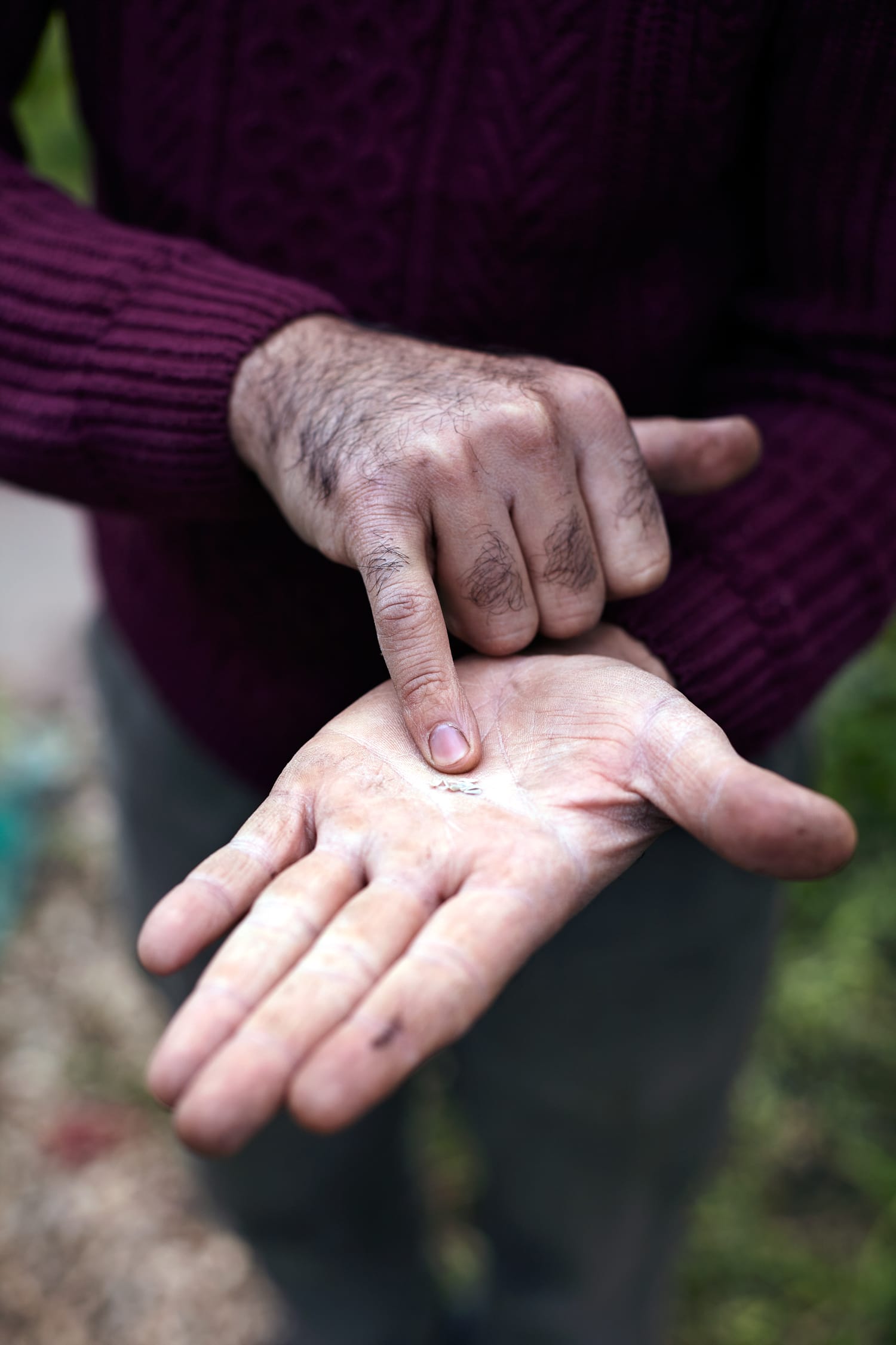 Mahmoud with seeds - Aloha Bonser-Shaw.jpg