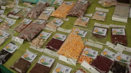 Native seeds collected and classified by Conamuri members 2_0.jpg