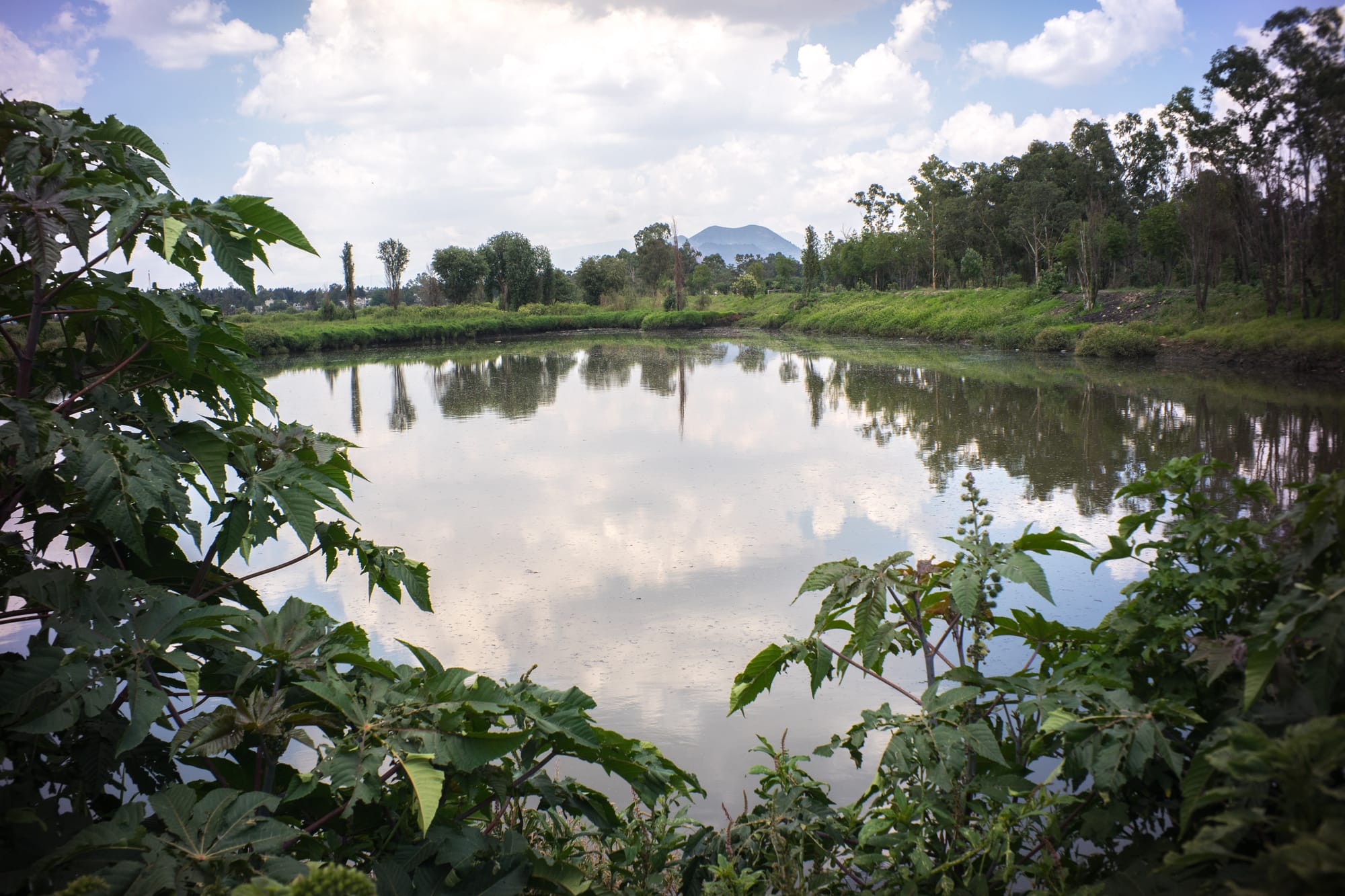 Parte de la Ciénega Grande, el norte del ANP separada del resto.jpg