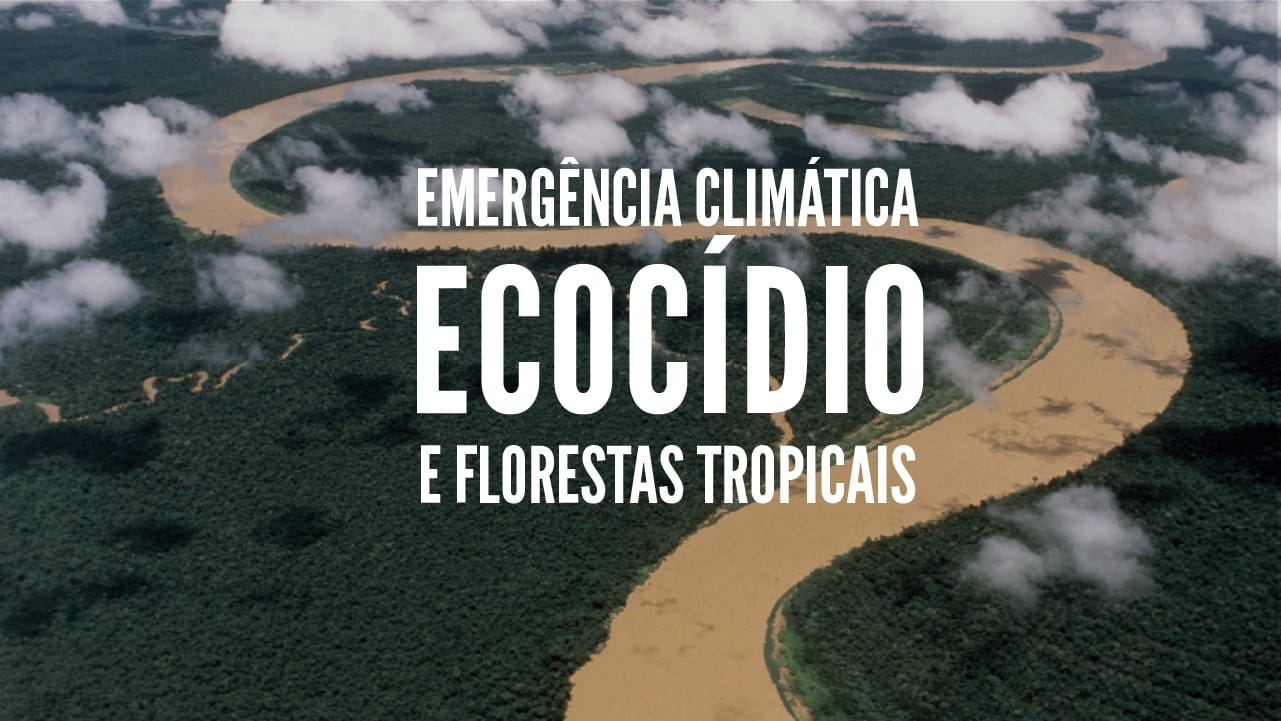 Rio na floresta amazônica visto de cima
