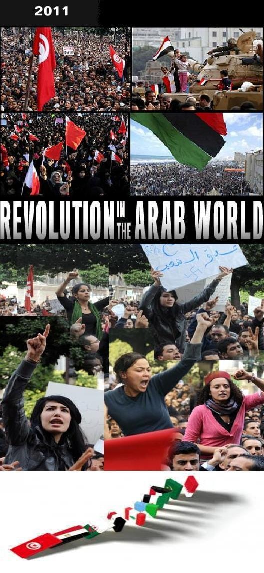 Revolutions in the Arab World