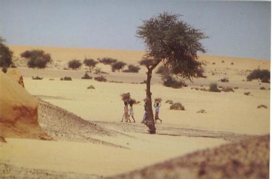 Sahel_big.jpg