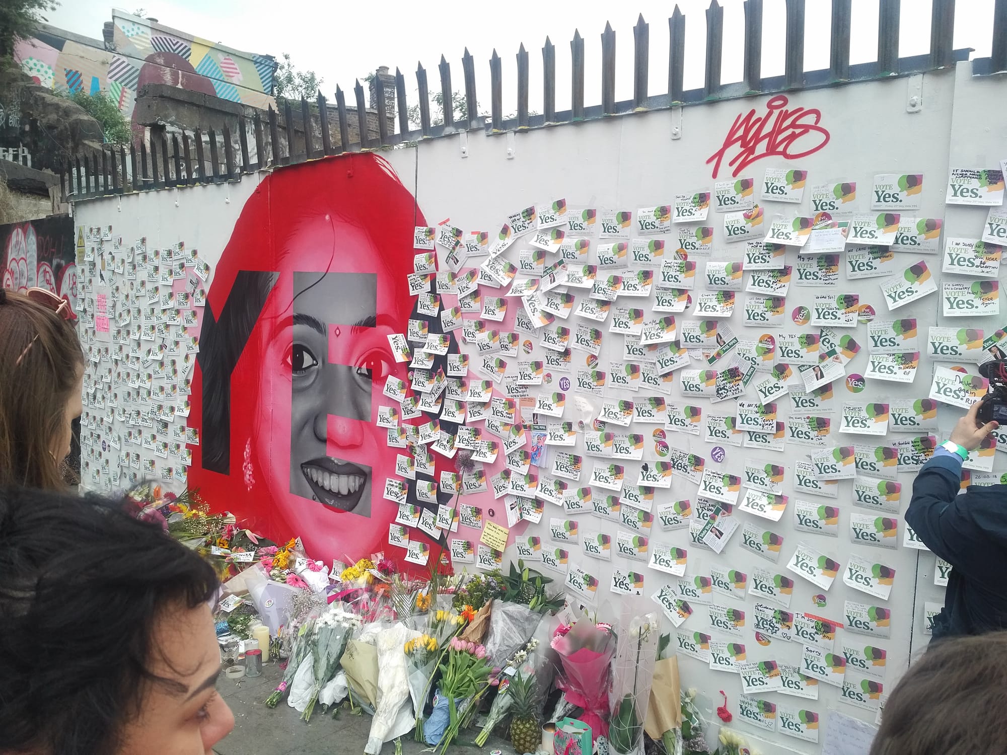 Savita_Halappanavar_mural,_Dublin.jpg