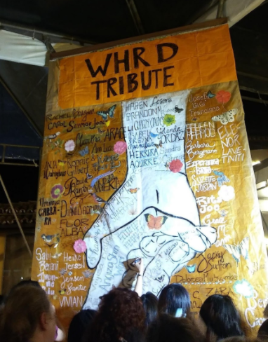 Screen Shot 2017-06-14 at 8.17.11 PM.png