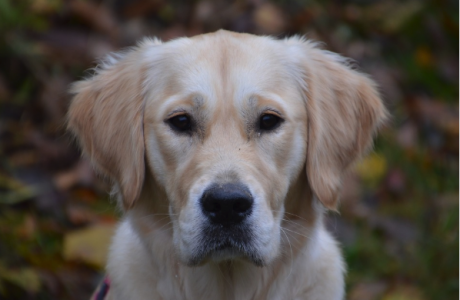 Screen Shot 2018-05-07 at 3.34.56 PM.png