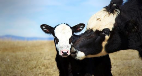 Screen Shot 2018-06-14 at 8.17.22 PM.png