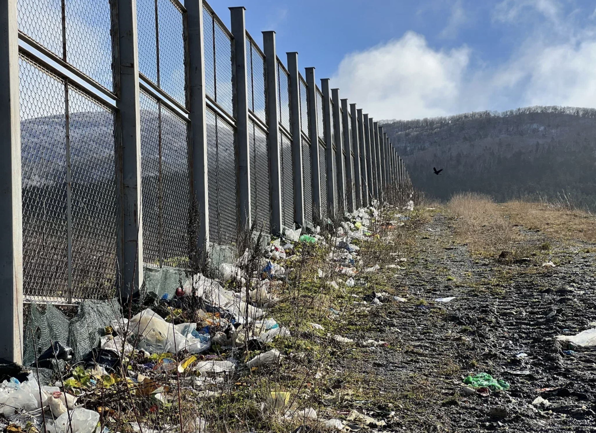 Снимок экрана 2024-01-05 в 00.26.25