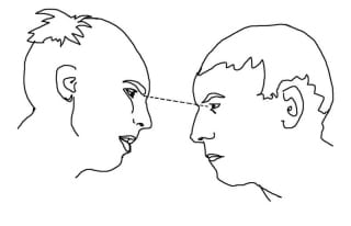 http://commons.wikimedia.org/wiki/Image:Staring_contest.jpg