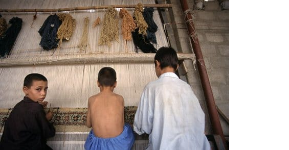 tc 6 carpet
